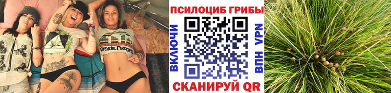 Галлюциногенные грибы мухоморы  Абдулино 